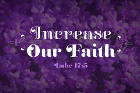 twenty-seventh-sunday-in-ordinary-time-no-3