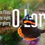 thirty-second-sunday-in-ordinary-time-no-2