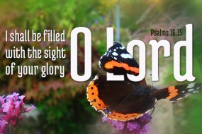 thirty-second-sunday-in-ordinary-time-no-2