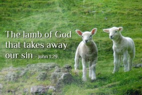 second-sunday-in-ordinary-time-no-1