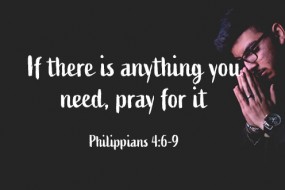 twenty-seventh-sunday-in-ordinary-time-no-2