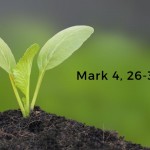 seedling-image