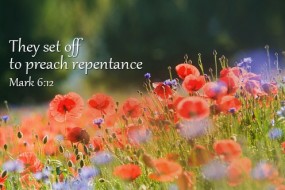 fourteenth-sunday-in-ordinary-time-no-2