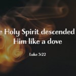 sunday-9th-january-3-2022