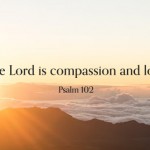 3rd_sunday_lent_c_4_496x331