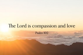 3rd_sunday_lent_c_4_496x331