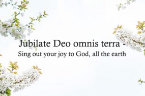 easter_sunday_c_4_496x330