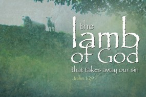 second-sunday-in-ordinary-time-no-3