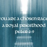 fifth-sunday-of-easter-no-1