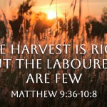 eleventh-sunday-in-ordinary-time-no-3