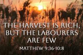 eleventh-sunday-in-ordinary-time-no-3