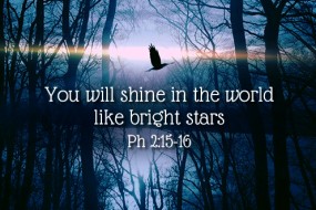 twenty-ninth-sunday-in-ordinary-time-no-1