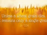 fifth-sunday-of-lent-no-1