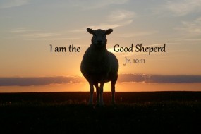 fourth-sunday-of-easter-no2