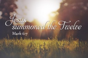 fifteenth-sunday-of-the-year-no-3