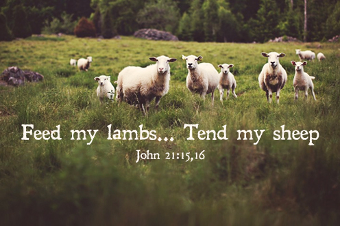 third-sunday-of-easter-no-2